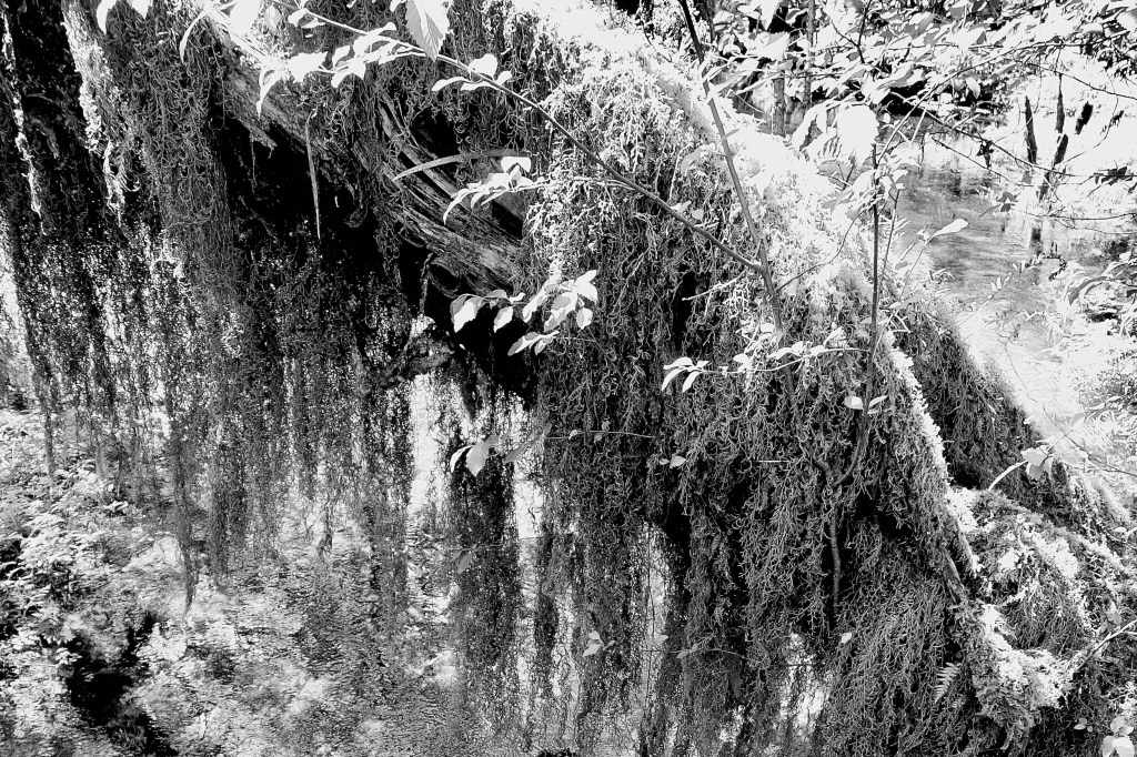 Marketing Detective: The case of the unvisited landing&nbsp;page