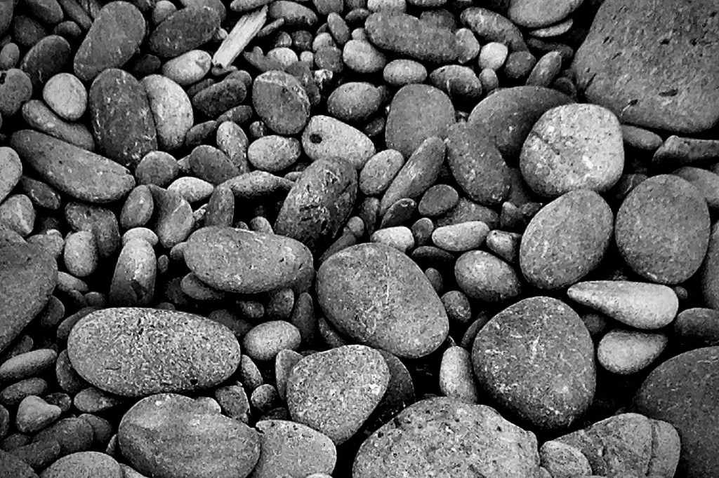 Building a Full-Funnel Social Media&nbsp;Program