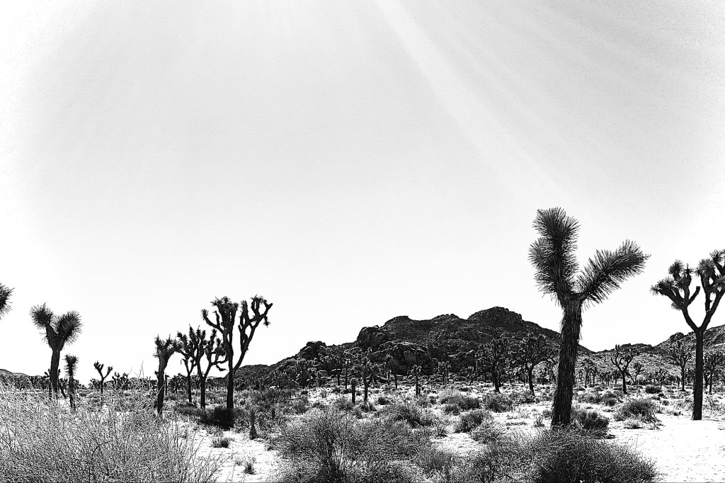 Getting great content: A workflow addition that works&nbsp;wonders